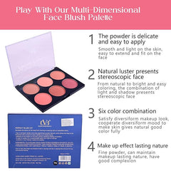 CVB Blush & Contour Professional Make-Up Palette kit