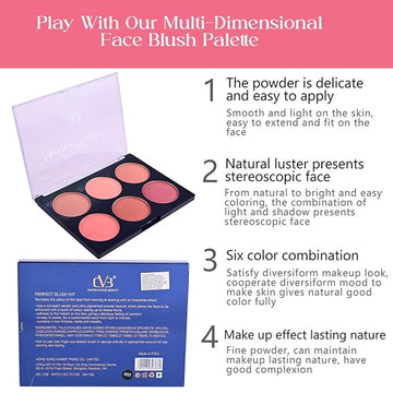 CVB Blush & Contour Professional Makeup Kit