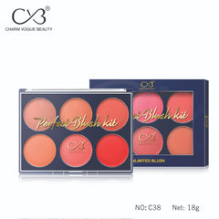 CVB Blush & Contour Kit