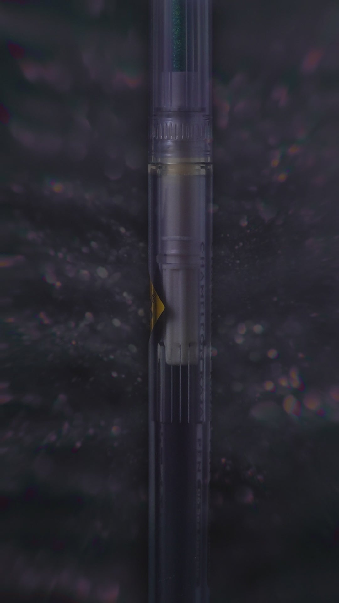 CVB Chameleon Kajal